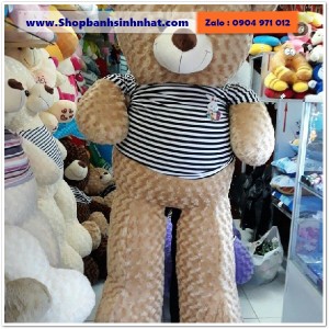 Gấu Bông Teddy Hàn Quốc - GAU79